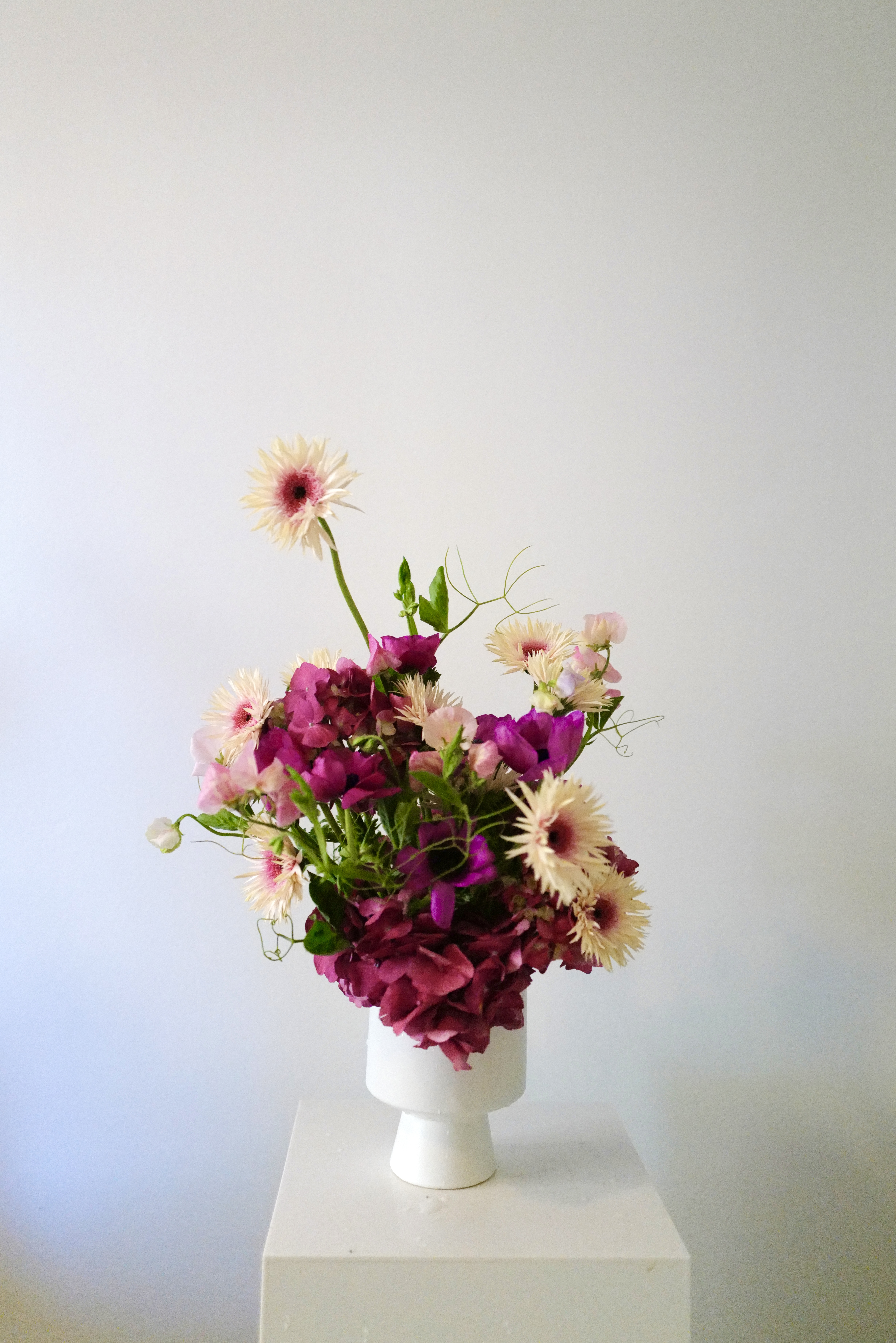 Citizens of Humanity floral work hover image